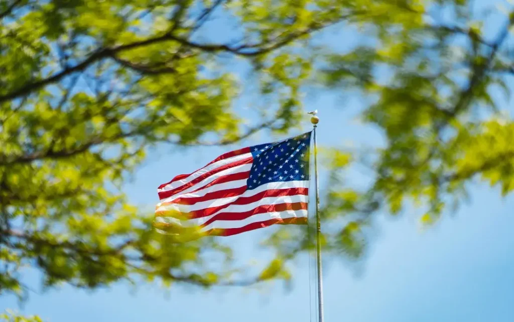 American flag waving amidst green leaves