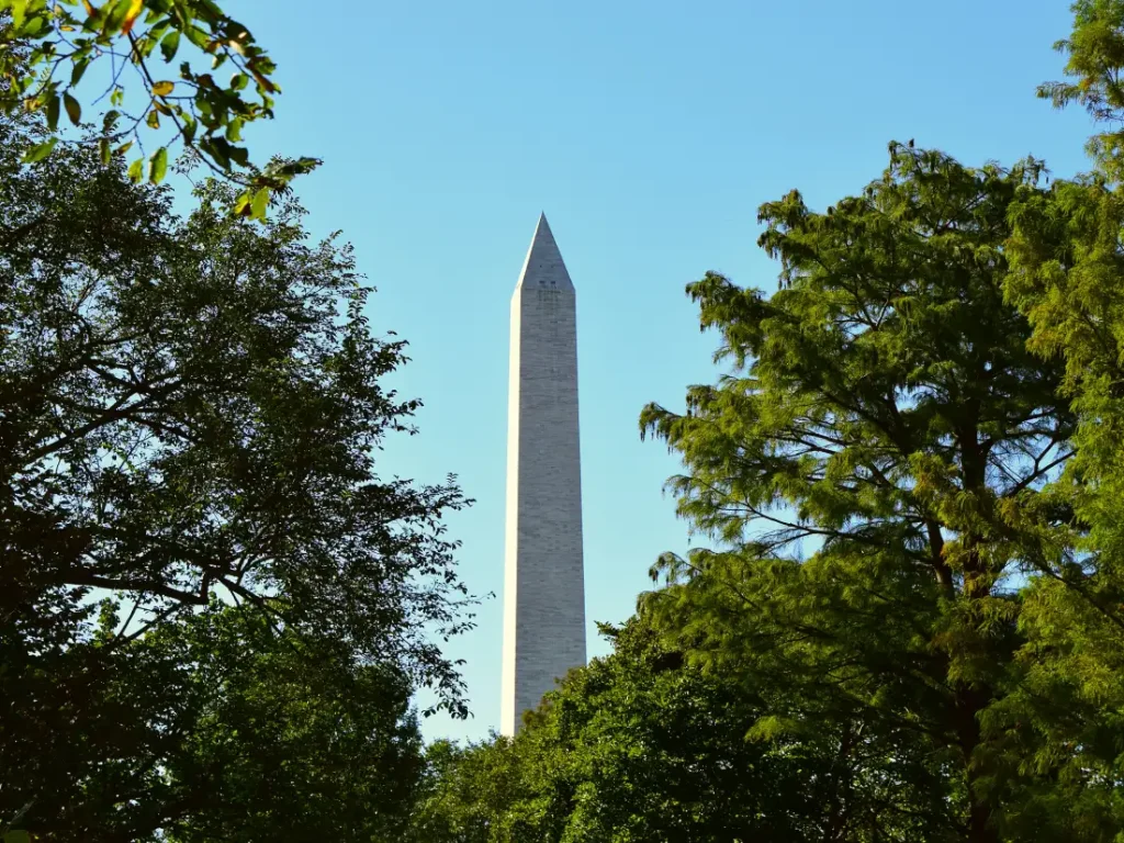 Washington Monument surrounded by green trees