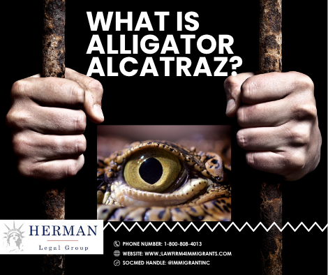 what is alligator alcatraz